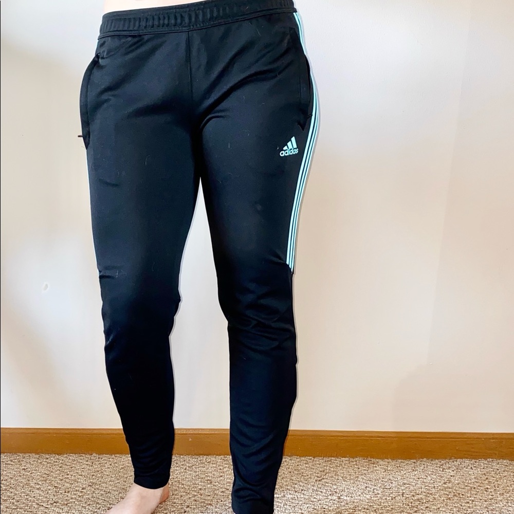 Adidas Sweatpants Teal